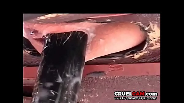 Saddle fuck! Must see